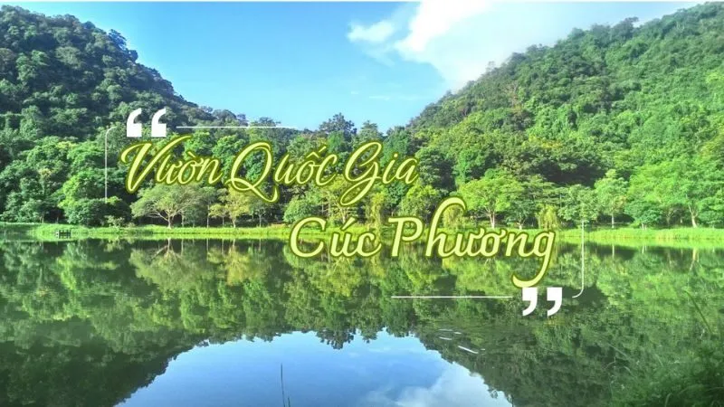 Vườn quốc gia Cúc Phương là điểm đến dành cho những người yêu thiên nhiên và muốn khám phá